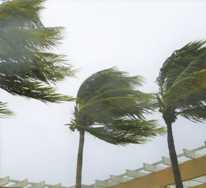 trees-damage-to-home-in-hurricane-houston-texas-2 Houston Builder