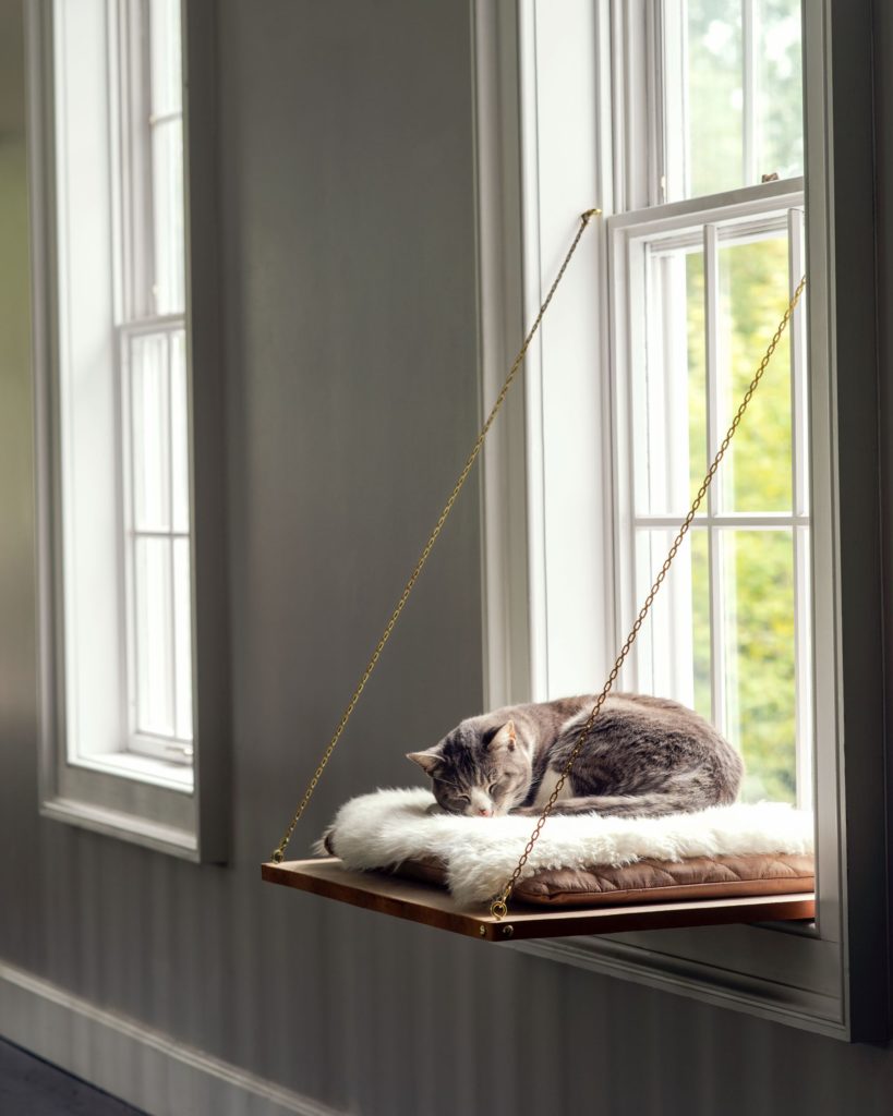 houston custom home builder cat perch