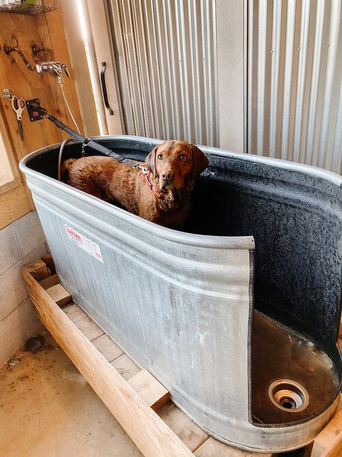 houston custom home builder dog wash